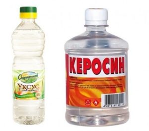 Remèdes populaires pour mâcher les poux chez les poulets